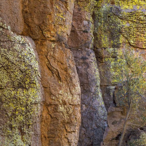 Arizona, Chiricahua National Monument Cliff face